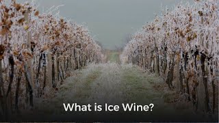 What is Ice Wine [upl. by Dymoke]