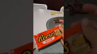 Reeses de chocolate blanco besvinelse [upl. by Lerud378]