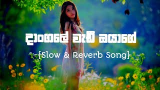 DANGALE WADI OYAGE දාංගලේ වැඩී ඔයාගේ Slow amp Reverb SongSinhala Song [upl. by Amathiste]