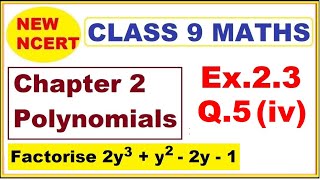 Class 9 Maths  Ex23 Q5 iv  Chapter 2  Polynomials  New NCERT  Ranveer Maths 9 [upl. by Valencia962]