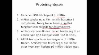 Proteinsyntesen [upl. by Anneirda390]