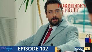 Forbidden Fruit Episode 102  FULL EPISODE  TAGALOG DUB  Turkish Drama [upl. by Wallas]