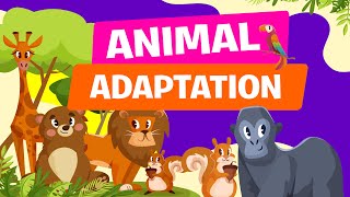 Animal Adaptations  Physical Life Cycle and Behavioral Adaptations of Animals  Science Video [upl. by Hauser]