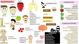 Mycoplasma pneumoniae [upl. by Hermia]