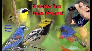 Birding Big Year Update Inland Fallout [upl. by Billie]