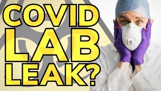 The coronavirus lab leak conspiracy [upl. by Nylcsoj]