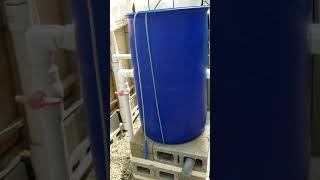 Mineralisation Tank Use Training Aquaponics [upl. by Oilerua853]