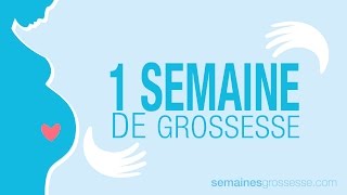 1 semaine de grossesse  Semaine 1 de grossesse  La grossesse semaine par semaine [upl. by Noni35]