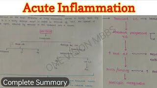 Acute Inflammation 44  Vascular and Cellular Events  Summary [upl. by Archy271]