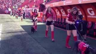 Edecanes en el partido Xolos vs Morelia HD [upl. by Valene672]