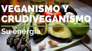 VEGANISMO Y CRUDIVEGANISMO Su energía [upl. by Nosral]