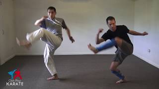 Karate Elwyn Hall Front Leg Sweep  20 min Workout [upl. by Strait261]