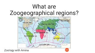 What are zoogeographical regions  How to draw zoogeographical regions map [upl. by Ahsilrak453]