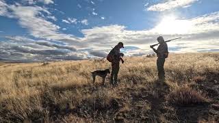 Chasing Chukar  November 2024 [upl. by Nac]