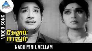 Thenum Paalum Movie Songs  Nadhiyinil Vellam Video Song  Sivaji  Padmini  Saroja Devi  MSV [upl. by Greyso]