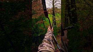 3D ARCHERY 🏹 Weitschuss auf Grizzlybär 🐻 Slow Motion shorts [upl. by Einneb]