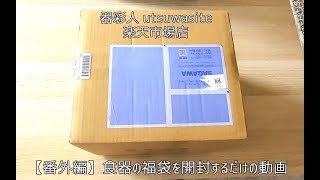 【番外編】食器の福袋を開封するだけの動画【器彩人】 [upl. by Ackler]