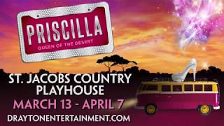 Priscilla Queen of the Desert [upl. by Sibylla]