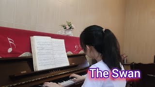 The Swan  Camille  Saint  Saens  piano [upl. by Terrance]