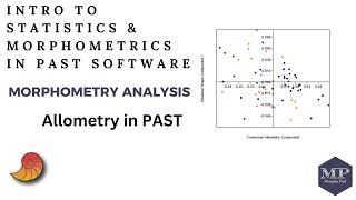 30 Allometry in PAST Software [upl. by Reed]