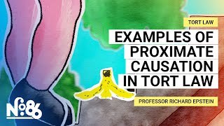 Examples of Proximate Causation in Tort Law No 86 [upl. by Beniamino]