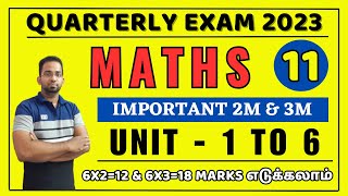 11th Maths important 2 Mark and 3 Mark 2023  11th Maths Quarterly Exam 2023 important Problems [upl. by Thurmann834]