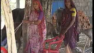 Janadesh Problems faced by tribals in Dahod district of Gujarat Hindi [upl. by Sylvester950]