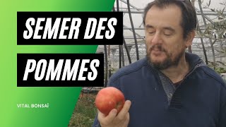 Ma technique INRATABLE pour semer des pommiers [upl. by Anayet322]