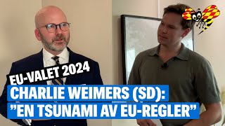 EUvalet Charlie Weimers Sverigedemokraterna om de viktigaste frågorna [upl. by Clio]