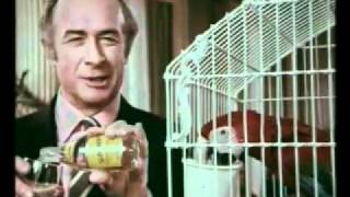 Schweppes Tonic Water TV advert by OampM quot Parrotquot 1971 [upl. by Ardet]