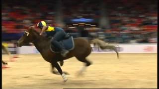 Mounted Games  Gothenburg Horse Show  2015 [upl. by Ahseat]