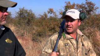 What Are The Best Hunting Calibers For African Game [upl. by Jeffries]