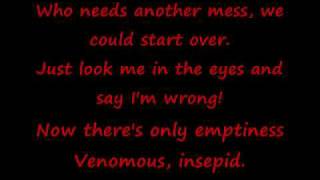 Slipknot Psychosocial lyrics [upl. by Roxanne]