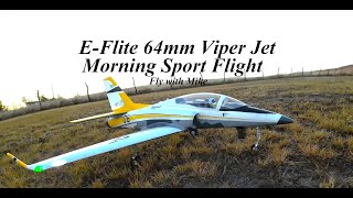 EFlite 64mm Viper Jet Morning Sport Flight Fly with Nike [upl. by Aicnelav]