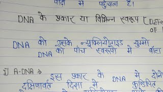 DNA ke prakar  DNA का प्रकार  Types Of DNA in hindi  DNA ke Vibhinn prarup  डीएनए के प्रकार [upl. by Darsie]