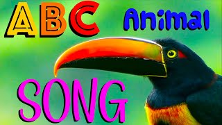 ANIMAL ALPHABET SONG  KIDS ABC Animals AZ [upl. by Moretta]