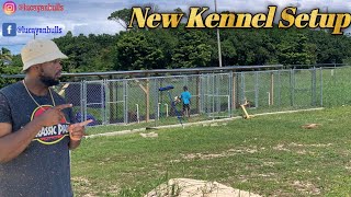 Our New Kennel SetUp [upl. by Drusilla]