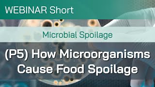 Webinar Short Microbial Spoilage Part 5 How Microorganisms Cause Food Spoilage [upl. by Schwejda]