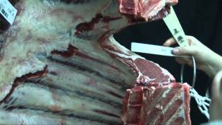 How a beef carcase is graded to Meat Standards Australia MSA specifications [upl. by Thackeray]