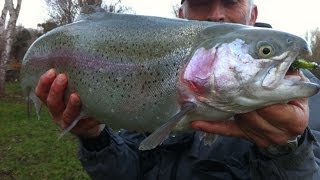 Enorme truite arc en ciel de 6kg prise à la mouche [upl. by Obed]