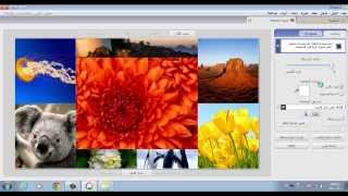 شرح مبسط لبرنامج Picasa 3 [upl. by Lak475]