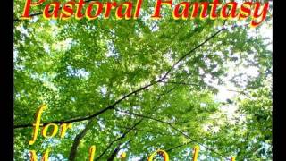 Pastoral Fantasy for Mandolin Orchestra Hiro Fujikake [upl. by Enialed]