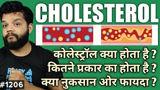 What Is Cholesterol In Hindi  HDL amp LDL Explained [upl. by Llennoj]