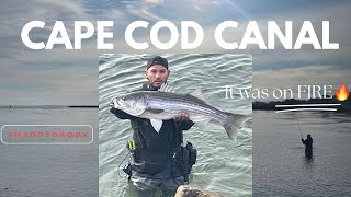 The Lure that Keeps on Giving  GIANT STRIPED BASS FISHING [upl. by Aprile]