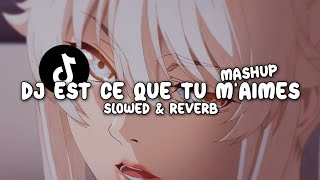 DJ EST CE QUE TU MAIMES MASHUP Slowed amp Reverb [upl. by Shanon]