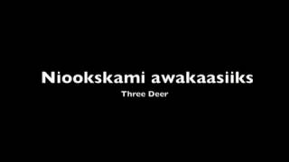 Thelma Bear Medicine – LESSONS 1 THROUGH 5  Blackfoot Language Lessons [upl. by Aryahay]