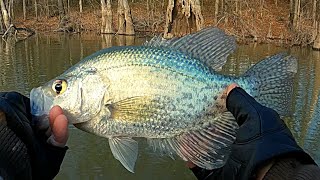 Crappie fishing in the Winter 2024 [upl. by Awe]