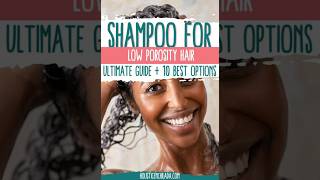 Best Shampoo for Low Porosity Hair 2024 lowporosity [upl. by Ennairam299]