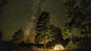 Gerçek gece orman sesi huzur verici ses [upl. by Aztinay]