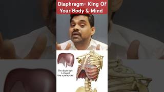 Why Your Diaphragm Is Key To Your Health [upl. by Deery]